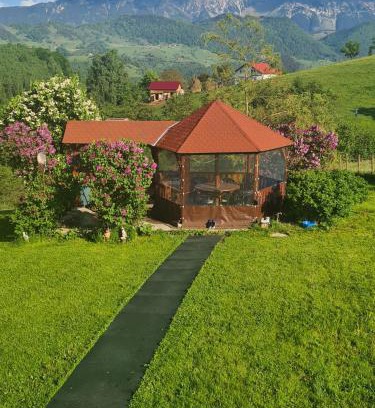 Moieciu de Jos Casa | Nona Highland Home