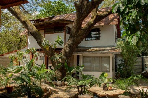 Tamarindo Casa | Noni Garden