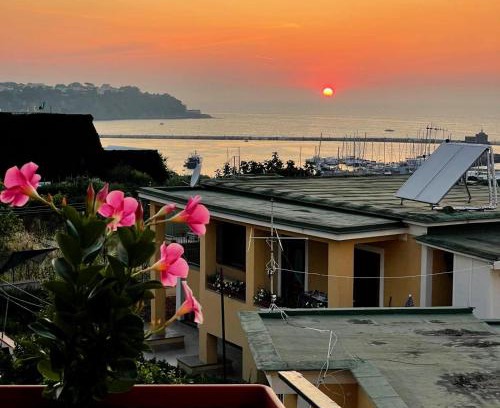 Procida Apartamento | Nonna Rosa, Casa sul Mare