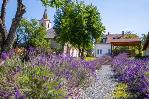 Nagygorbo Casa | Nora Guest House - Happy Rentals