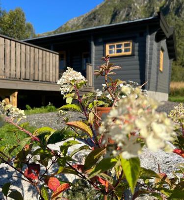 Andoy Cabina | Nordlands hytta