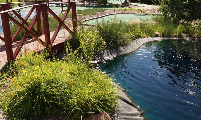 Norfolk Hotel | Norfolk Lodge & Suites, Ascend Hotel Collection