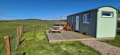 Muasdale Otro | North Muasdale Farm, Ewe View