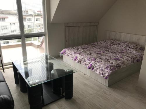 Sofia Apartamento | NORTH PARK SUITE