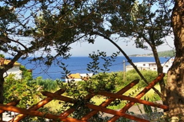 Drasnice Apartamento | NORTH SPOT