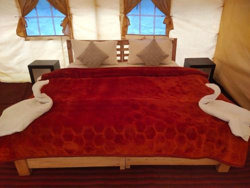 Hundur Otro | Northern Valley Camp - Nubra