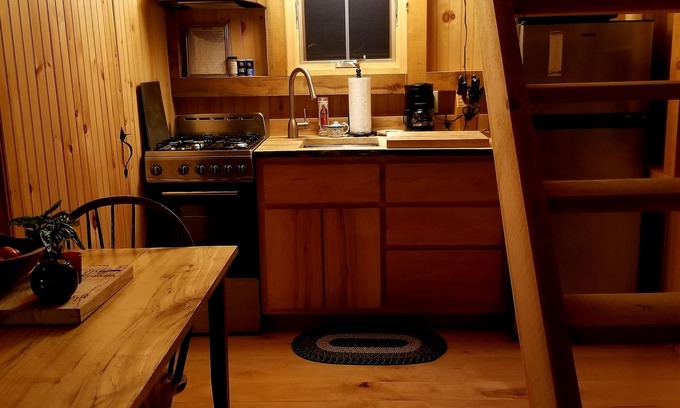 Craftsbury Cabina | Northwoods Guest Cabin and firepit & porch overlooking private woods and stream
