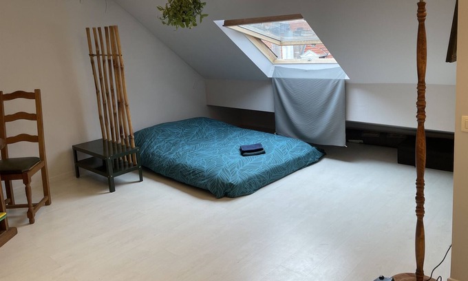 Sint-Gillis Apartamento | Novisa Attic Apartment