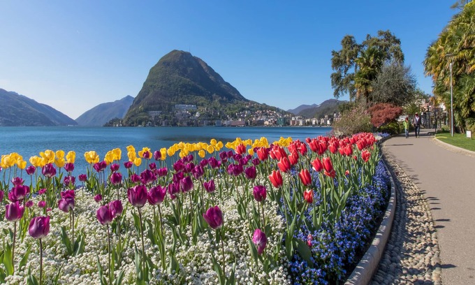 Lugano City-Centre Apartamento | Novos Contrada 5 502