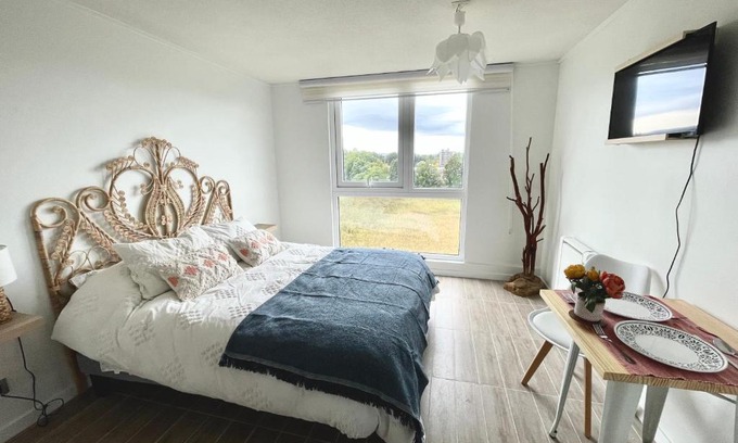 Valdivia Apartamento | Nuevo y Cómodo depto tipo Estudio