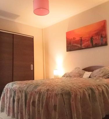 Paraná Apartamento | Nuez de la Isla "Centro Apart" en MICROCENTRO Depto con un dormitorio