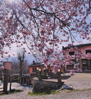 Bettola Casa | Nuovo Agriturismo Villa Enrichetta