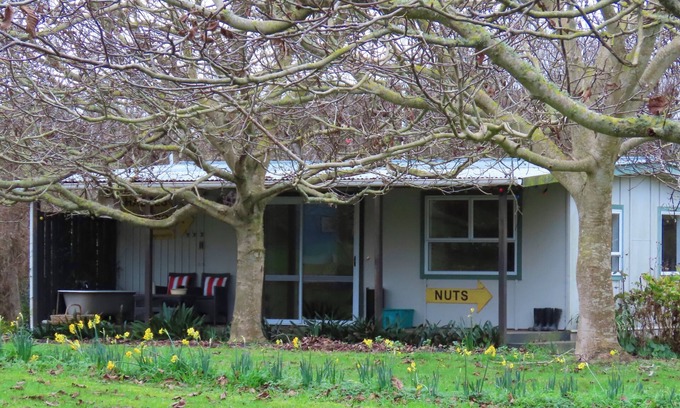 Kai Iwi Cabaña | Nut Cottage