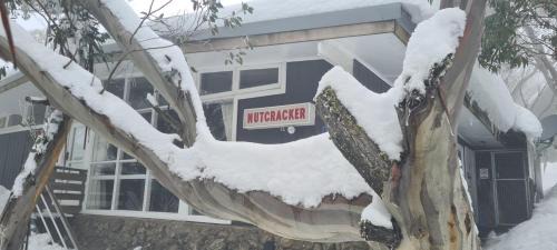 Mount Buller Cabina | Nutcracker Ski Club