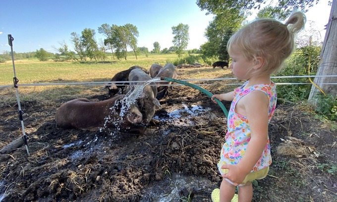 Stearns County Casa | O'Halloran House-Feathered Acres Learning Farm & Inn