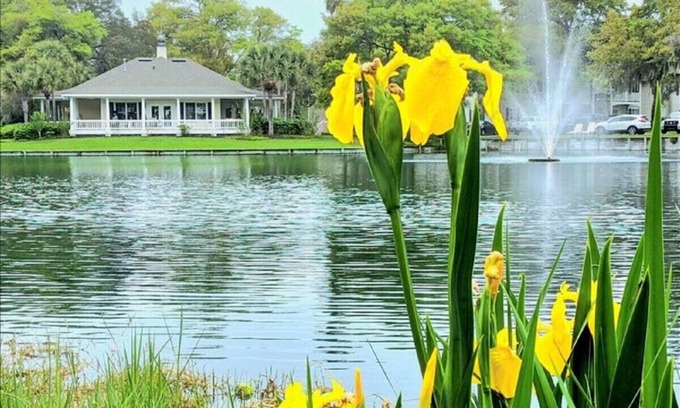 Demere Park Condominio | O1 Two BR townhome in Ocean Walk with 1 king, 1 queen bed. Recently updated.