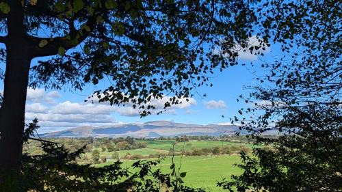 Knockaderry Cross Roads Apartamento | Oak Forest Cottage