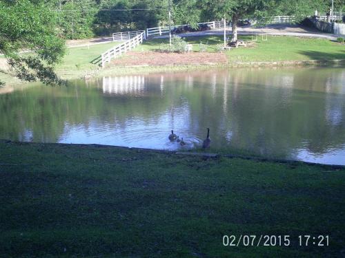 Hattiesburg Apartamento | Oak Grove Apartment Hattiesburg, MS