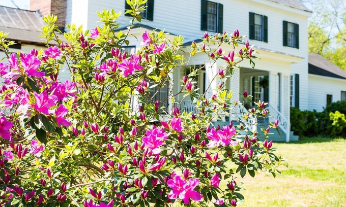 South Boston Cama Y Desayuno | Oak Grove Bed and Breakfast