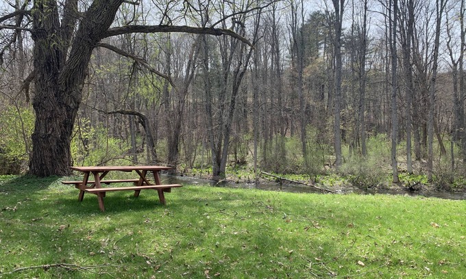 Fly Creek Casa | ⭐️Oaks Creek Manor⭐️NEW Listing⭐️ON Oaks Creek Sleep7