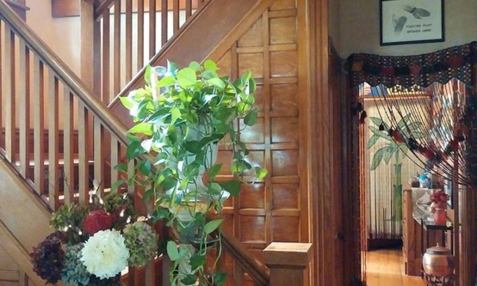 Springville Cama Y Desayuno | Oasis Bed and Breakfast