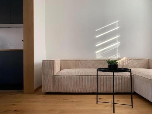 Belfast Casa | Oasis by Black Dove design