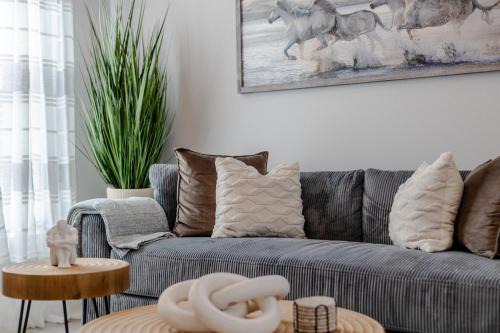Ocala Casa | Ocala Modern Oasis 5 minutes to World Equestrian Center
