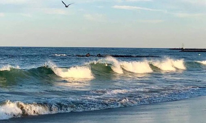Avon by the Sea Condominio | Ocean Ave Beach Retreat in Belmar