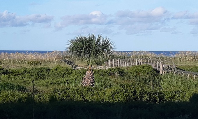 Beachwalk Condominio | Ocean Front & pool view. Hunting Island pass included