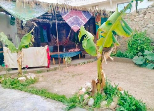 Tamrhakht Casa | Ocean Jam Surf House
