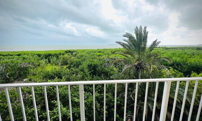 Tavernier Condominio | Ocean View 1BR - Near Marine & Bird Sanctuaries