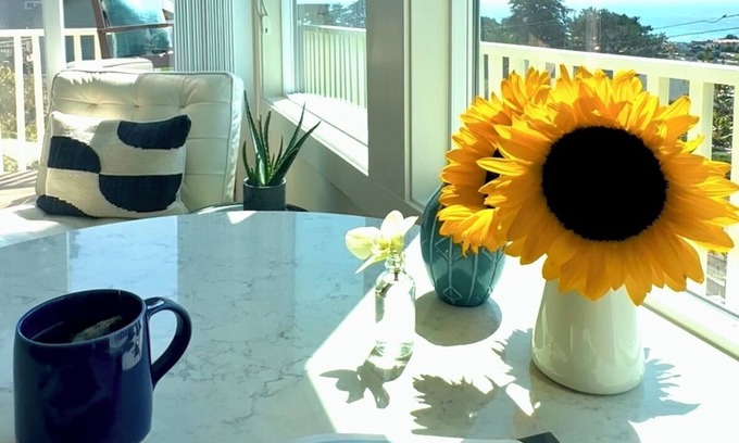 Marine Terrace Cabaña | Ocean View Retreat with King sized bed and 5 min walk to sea + Fiscalini trails.