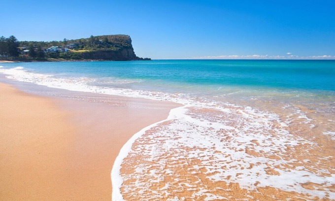 Avalon Beach Apartamento | Ocean Vistas - Walk to beach