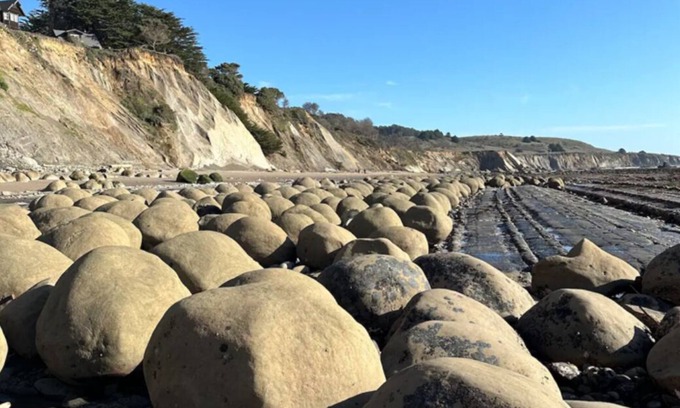 Gualala Casa | Ocean Waves crashing Surrounded by Redwoods, pet friendly! Welcome Home.