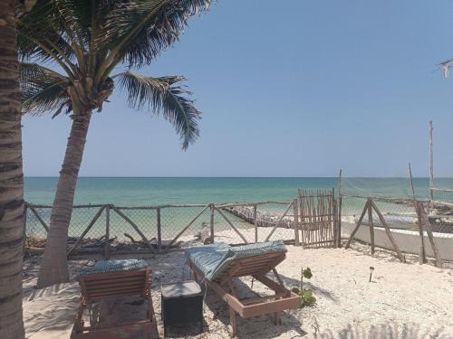 Chelem Apartamento | Oceanfront Living!