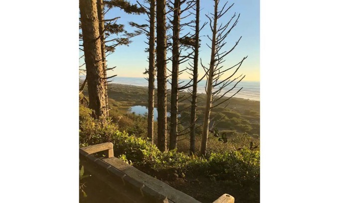 Jefferson County Cabina | Oceanfront Olympic Cabin— Secluded & Vast (2BR)