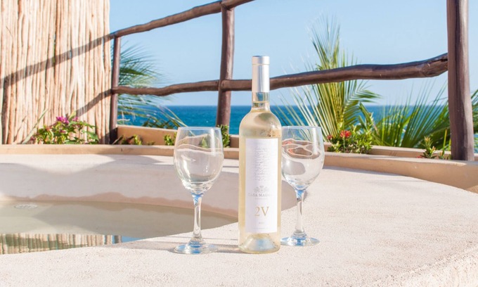 Majahual Apartamento | Oceanfront penthouse with private rooftop, pool and bbq area