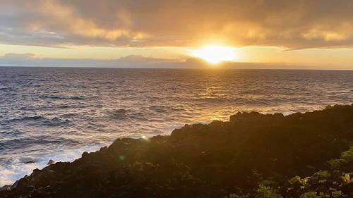 Kapoho Casa | Oceanfront studio see whales and dolphins