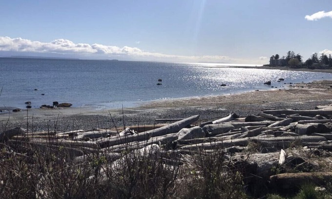 Campbell River Cabaña | Oceanside Cottage