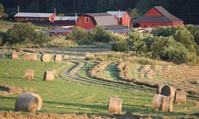 Friday Harbor Casa | Octubre Granja Familia Granja Estancia