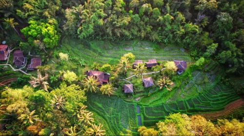 Wongaya Gede Cabina | Oemah Tepi Sawah