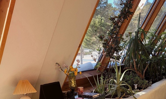 Colorado Springs Casa | Off-grid, Earthen home in the forest