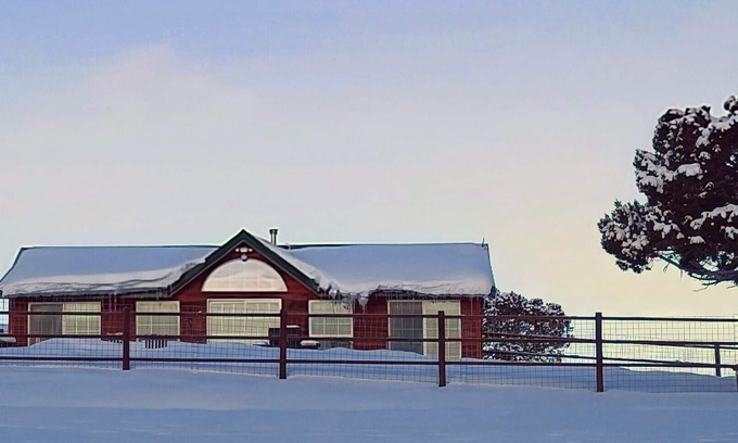 New Castle Cabina | Off The Grid Cabin con Elk Herd (y burros y caballos)