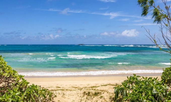 Laie Casa | Ohana Adventure🌺 3 Beach front properties