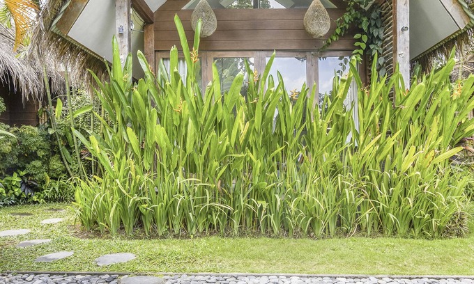 Pererenan Cabaña | Ohana Bungalow 3BR