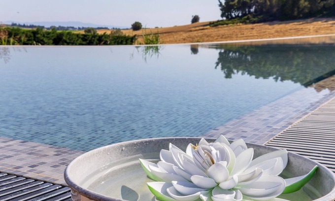 Kassandra Apartamento | Oikos Sani Suites ❤️ Live the perfect summer experience near the best beaches