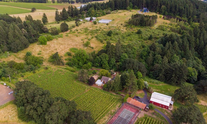 Newberg Casa | Old Farm: A Modern-day 5-bedroom Farmhouse on Vineyard with Hot Tub!