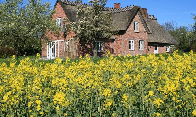 Stenderup Casa | Casa de vacaciones Altes Schusterhus - Lukas Schmeling Altes Schusterhus