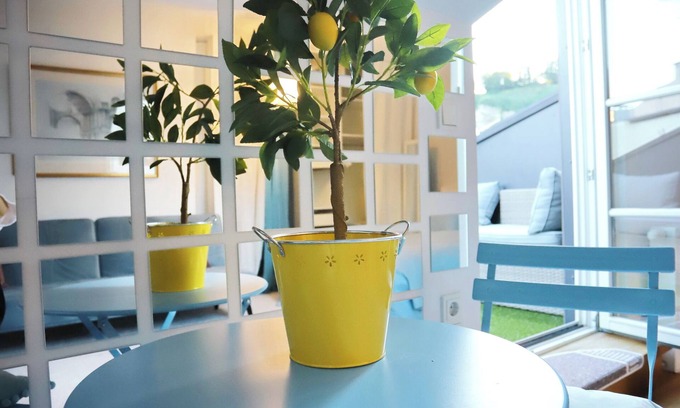 Altstadt Apartamento | Old town. Studio with a Castle View. Roof terrace