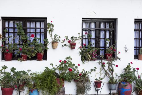 Centro histórico de Hondarribia Apartamento | Olerki by Smiling Rentals